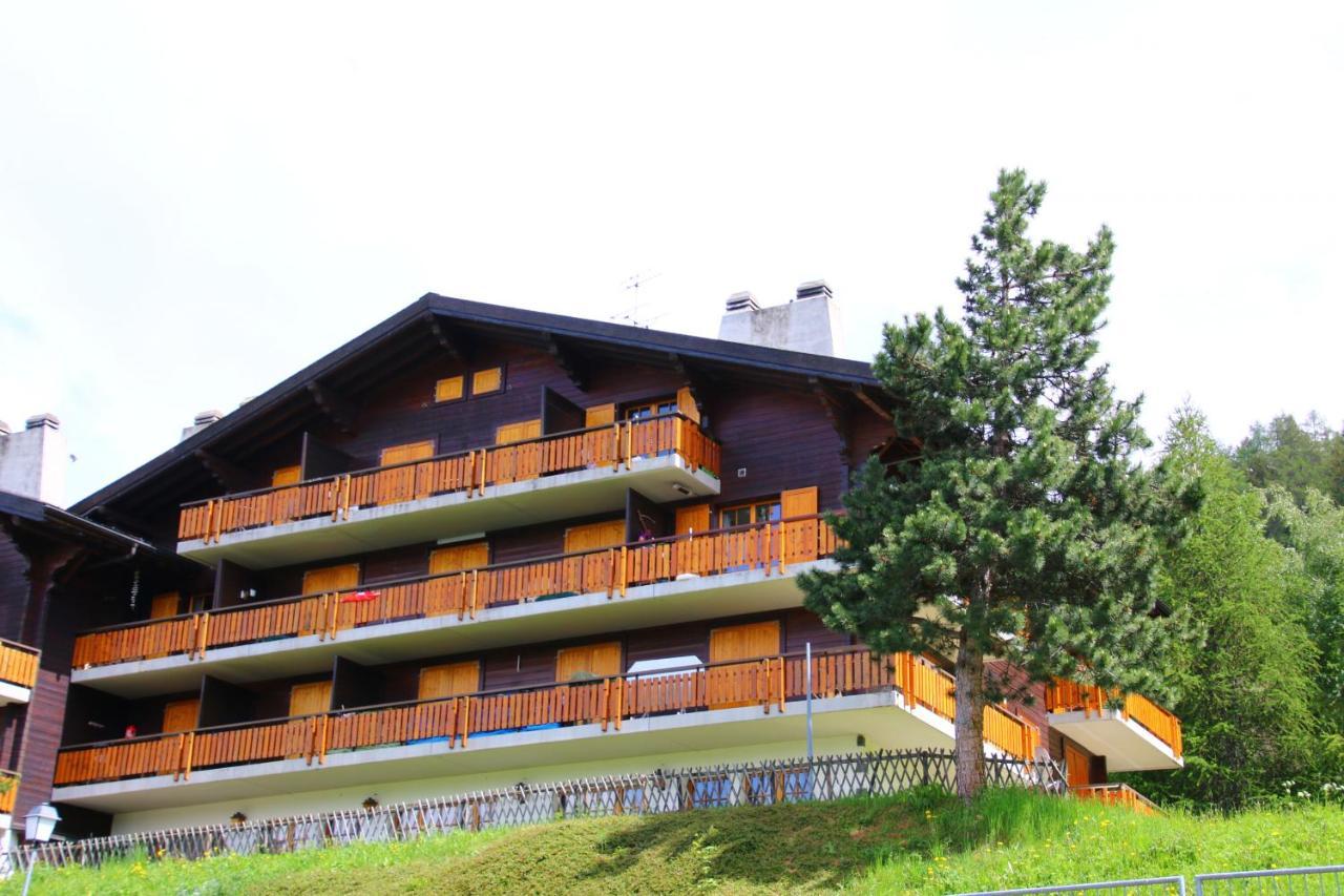 Mayens De L'Ours Mountain & Center Apartments By Alpvision Residences Agettes 外观 照片